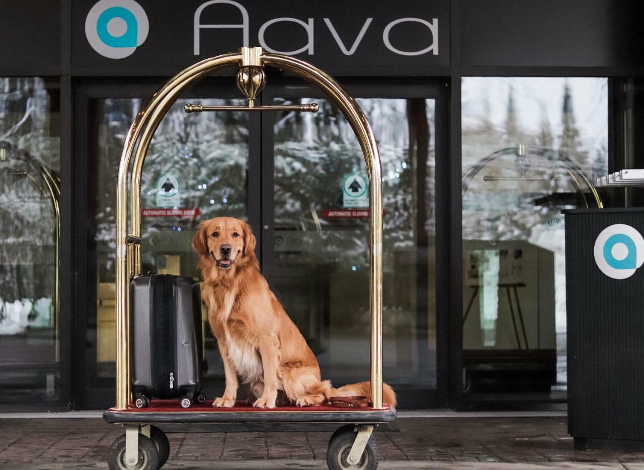 Aava Whistler Hotel Εξωτερικό φωτογραφία